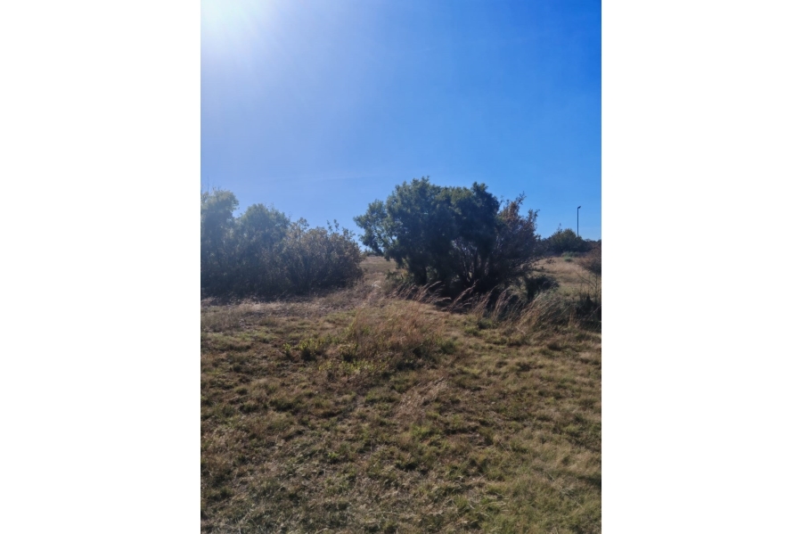 0 Bedroom Property for Sale in Oranjeville Free State